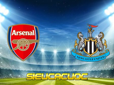 Soi kèo nhà cái Arsenal vs Newcastle – 03h00 – 19/01/2021