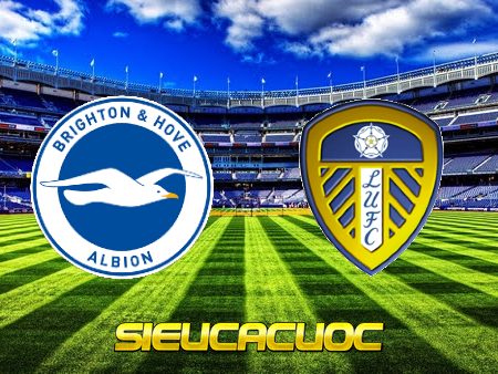 Soi kèo nhà cái Brighton vs Leeds Utd – 00h30 – 28/11/2021