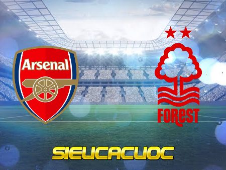 Soi kèo nhà cái Arsenal vs Nottingham – 21h00 – 30/10/2022