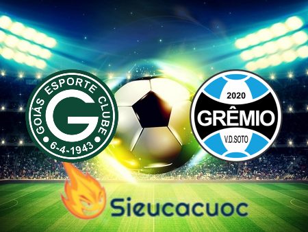 Soi kèo nhà cái Goias vs Gremio – 04h30 – 31/07/2023